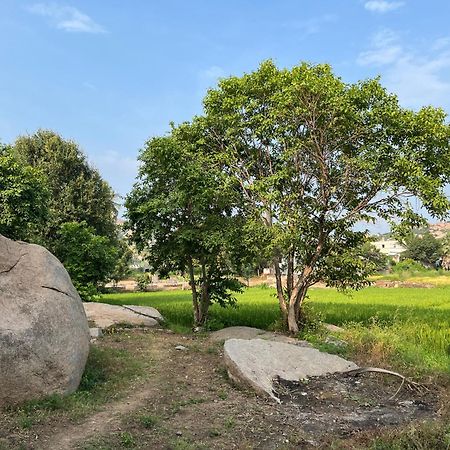 Sunrise Guest House & Restaurant Hampi Ngoại thất bức ảnh