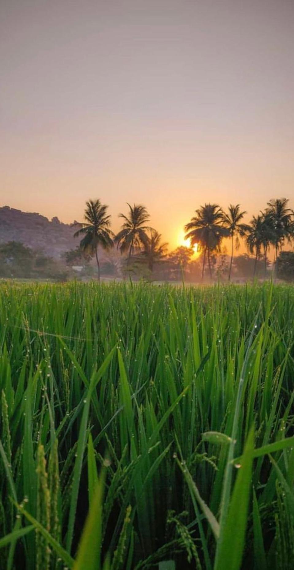 Sunrise Guest House & Restaurant Hampi Ngoại thất bức ảnh