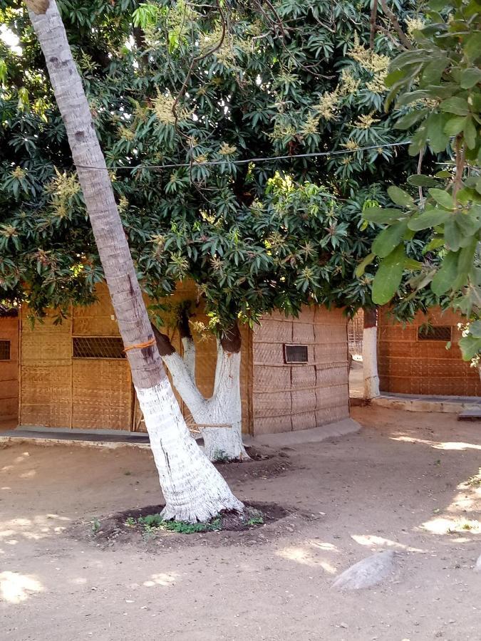 Sunrise Guest House & Restaurant Hampi Ngoại thất bức ảnh